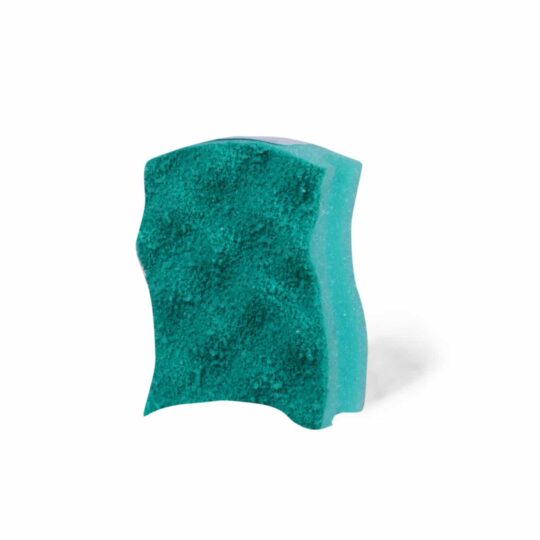 Sfungjer enësh (1 copë)